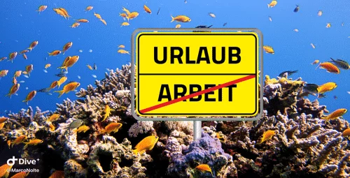 Hinweis Wohnmobil Alarmanlage