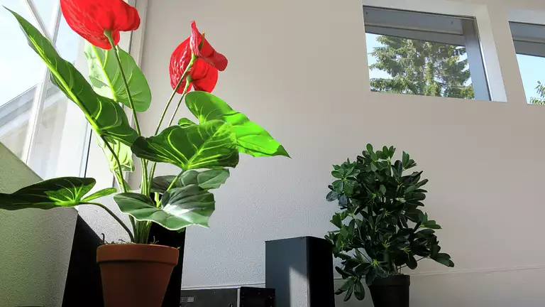 Pandora Alarmanlage Einbaupartner